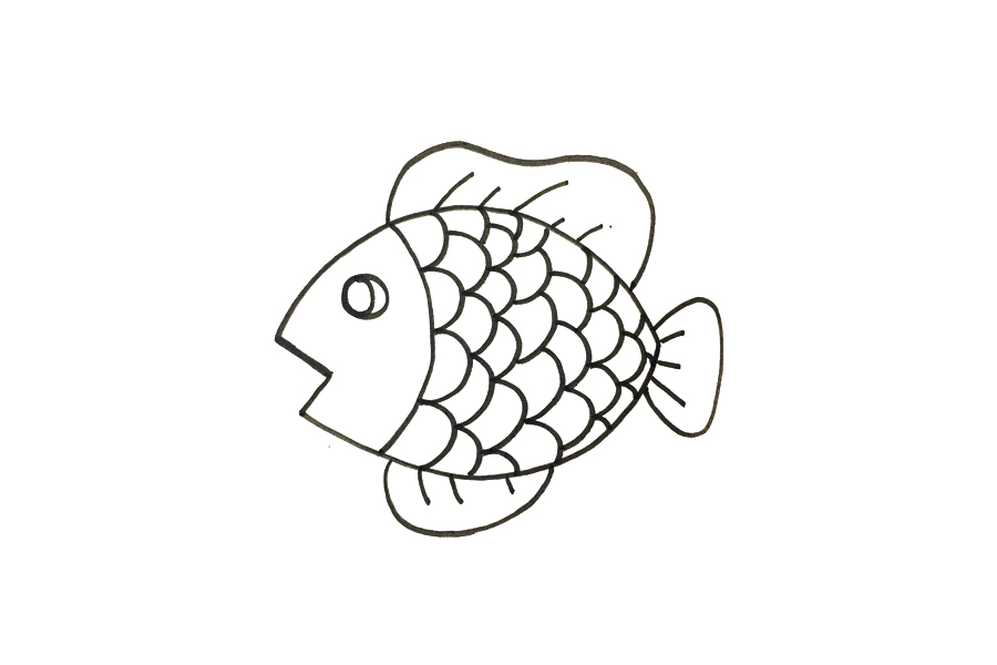 一步一步学画漂亮的小鱼-图3