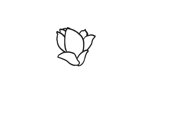 玉兰花怎么画-图1