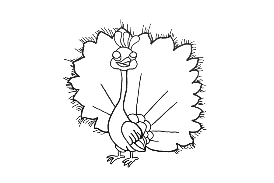 漂亮的孔雀开屏怎么画-图4