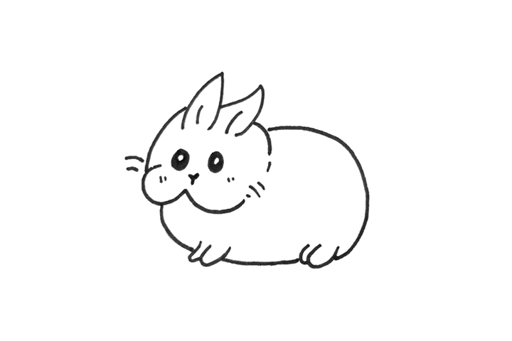胖嘟嘟的可爱兔子怎么画-图2