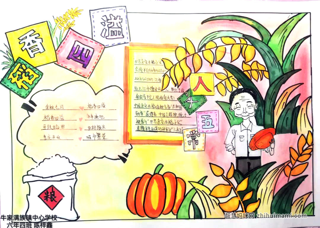 珍惜粮食儿童创意手抄报绘画-图2