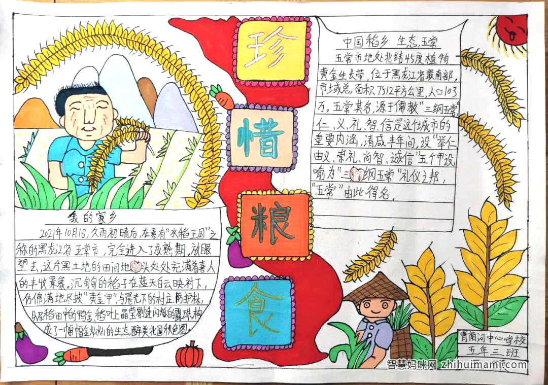 珍惜粮食儿童创意手抄报绘画-图3