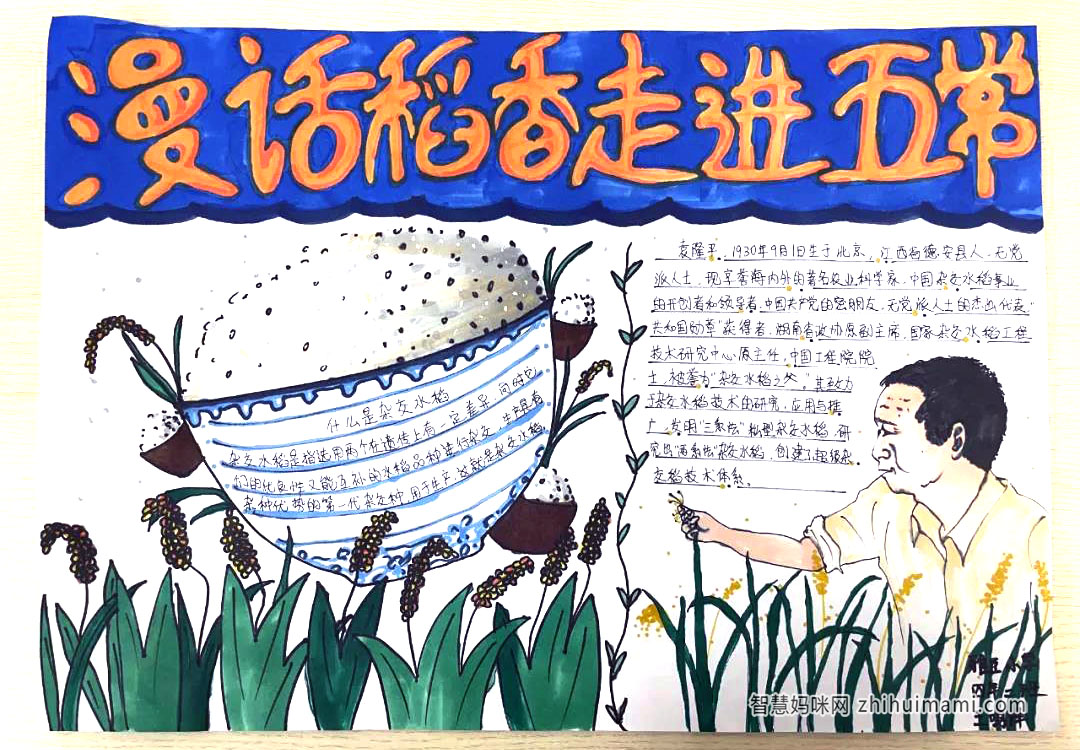 珍惜粮食儿童创意手抄报绘画-图7