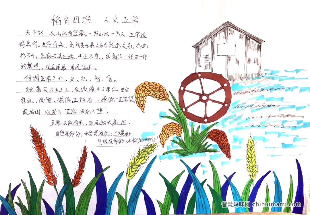 “我的家乡——五常”主题手抄报-图2