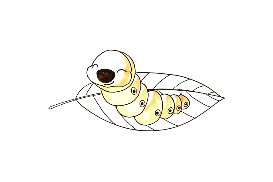 怎么画可爱蚕宝宝-图5