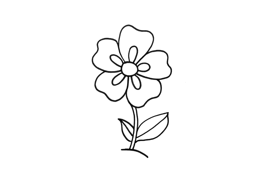 超简单五瓣花怎么画-图3