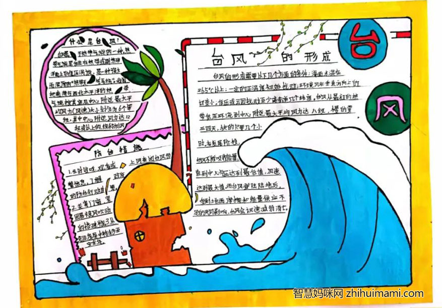 世界海洋日手抄报简单又漂亮-图9