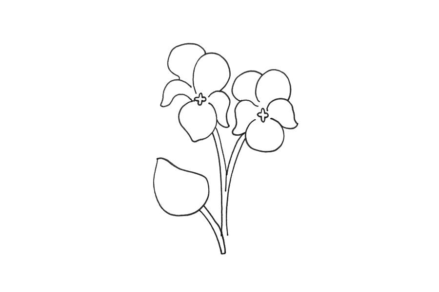 紫罗兰怎么画-图3