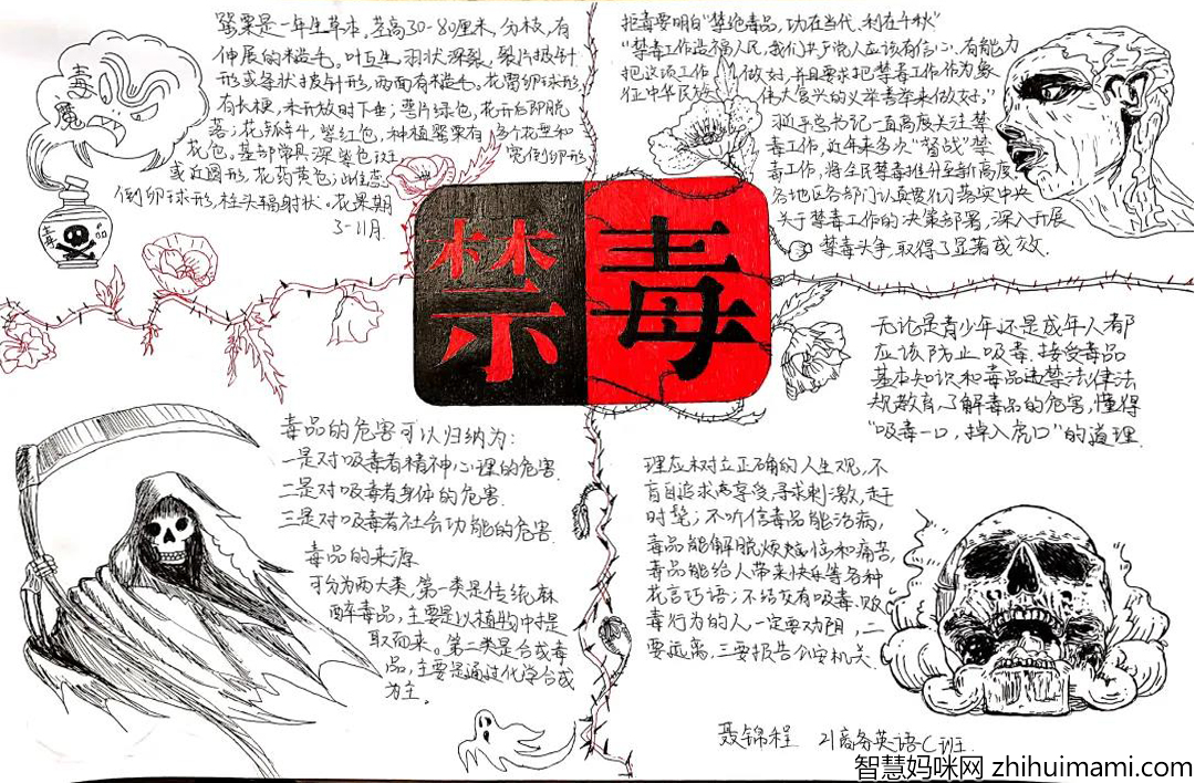 简单的禁毒手抄报怎么画-图5
