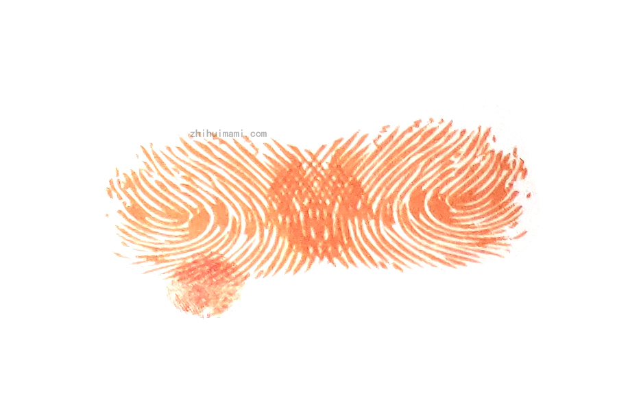 步骤3：对了，别忘了用小拇指点出公交车的轮子。