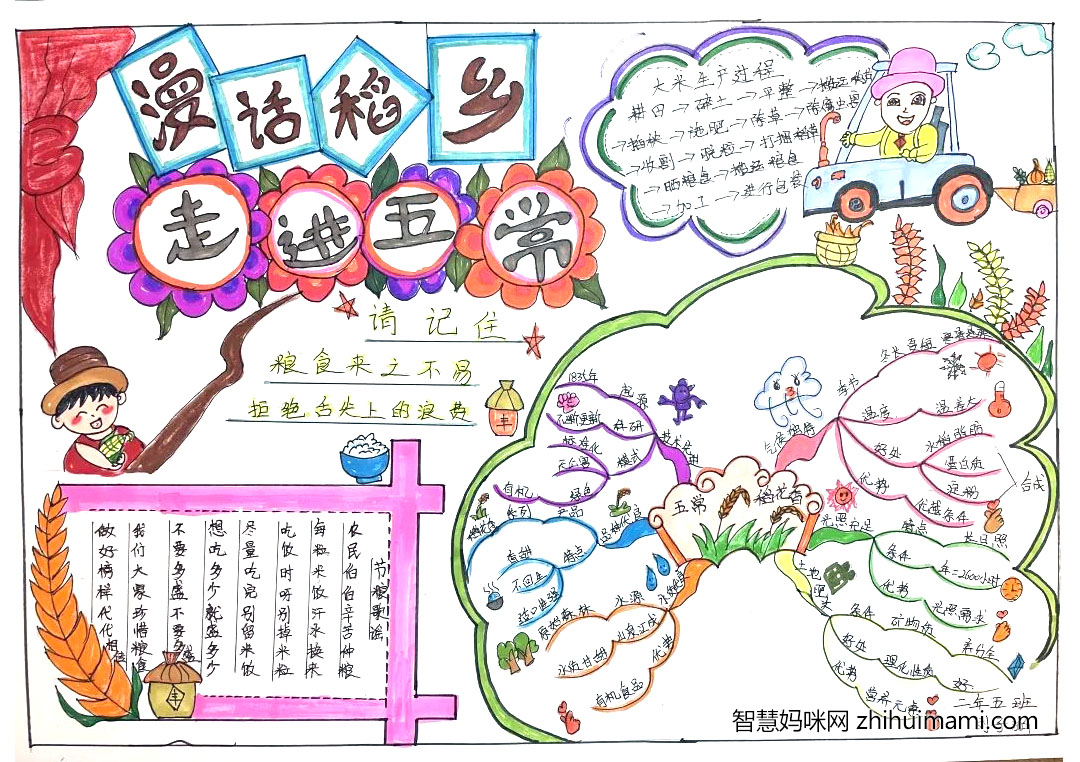 小学三年级我的家乡手抄报-图2