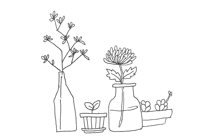 一组漂亮的植物简笔画图片-图1