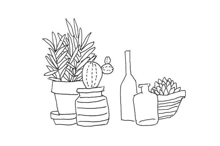 一组漂亮的植物简笔画图片-图4