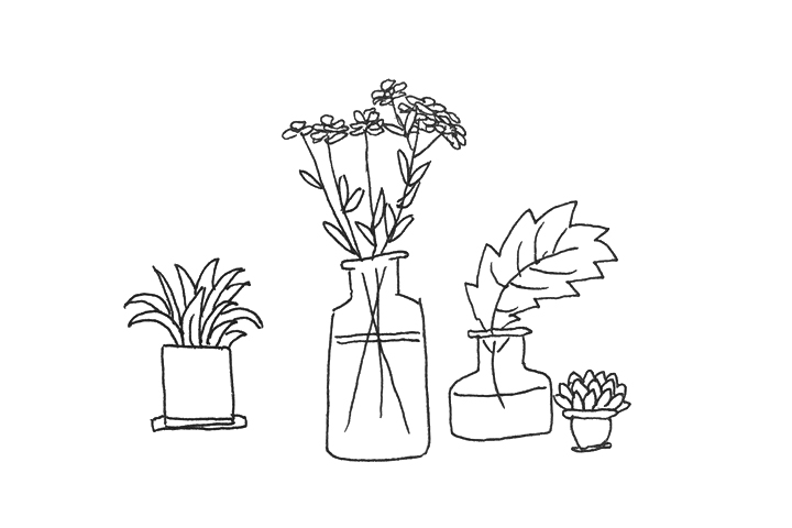 一组漂亮的植物简笔画图片-图8