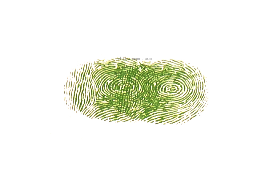 步骤2：接着用大拇指蘸取颜料，在一个指印后对称按下另一个指印。