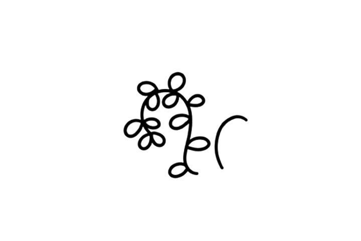 漂亮的小叶子简笔画画法-图2