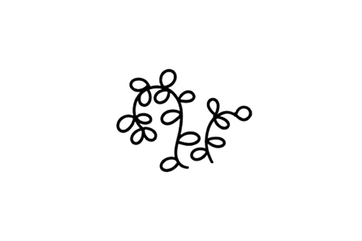 漂亮的小叶子简笔画画法-图3