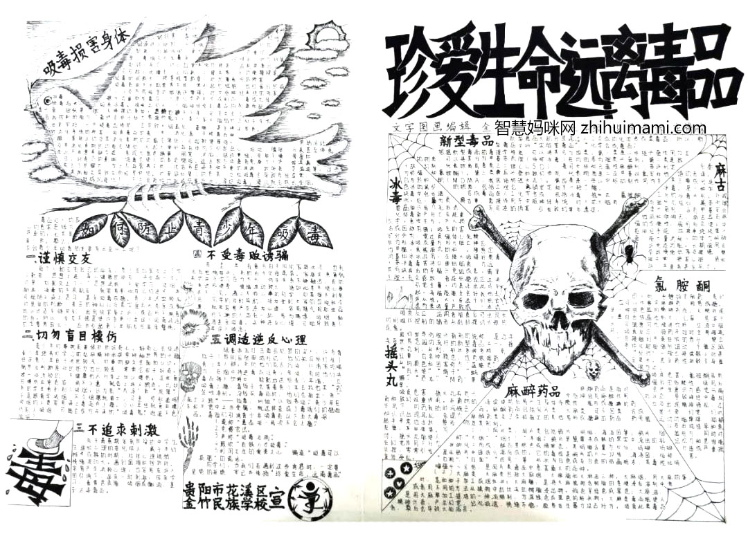 8张漂亮的禁毒黑白手抄报图片-图2