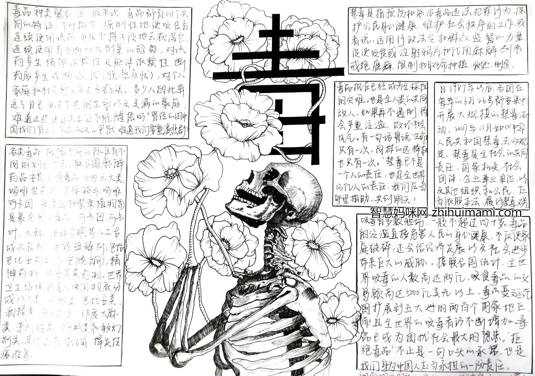 8张漂亮的禁毒黑白手抄报图片-图3