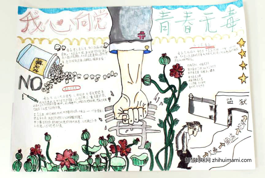 “我心向党，青春无毒”主题手抄报-图6