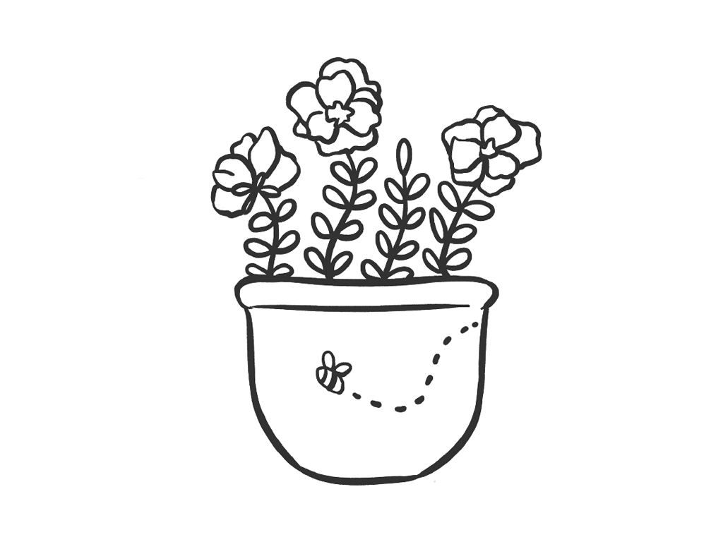 茂盛的盆栽简笔画图片-图6