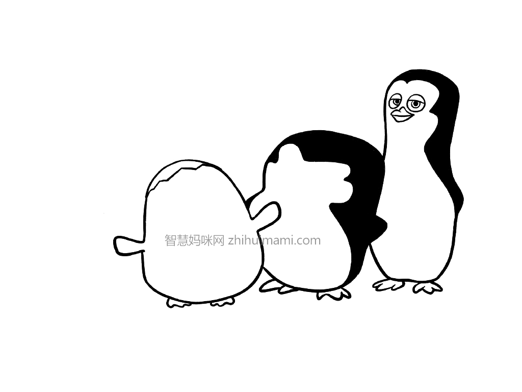 如何画马达加斯加的企鹅简笔画-图4