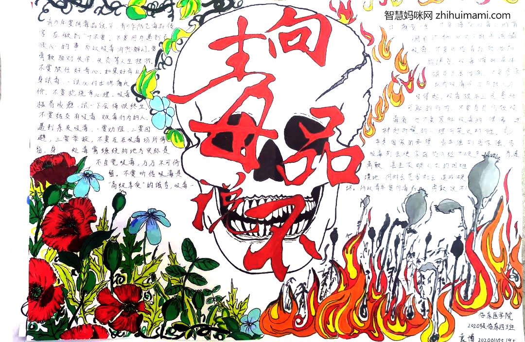 5张小学世界禁毒日手抄报绘画-图5