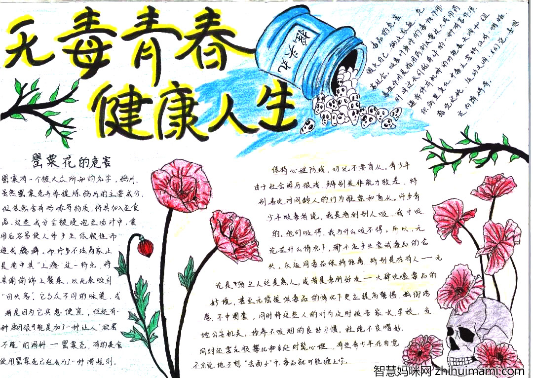 珍爱生命远离毒品手抄报图片-图3