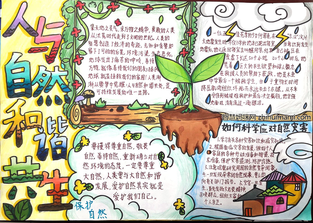 关于人与自然的手抄报-图1