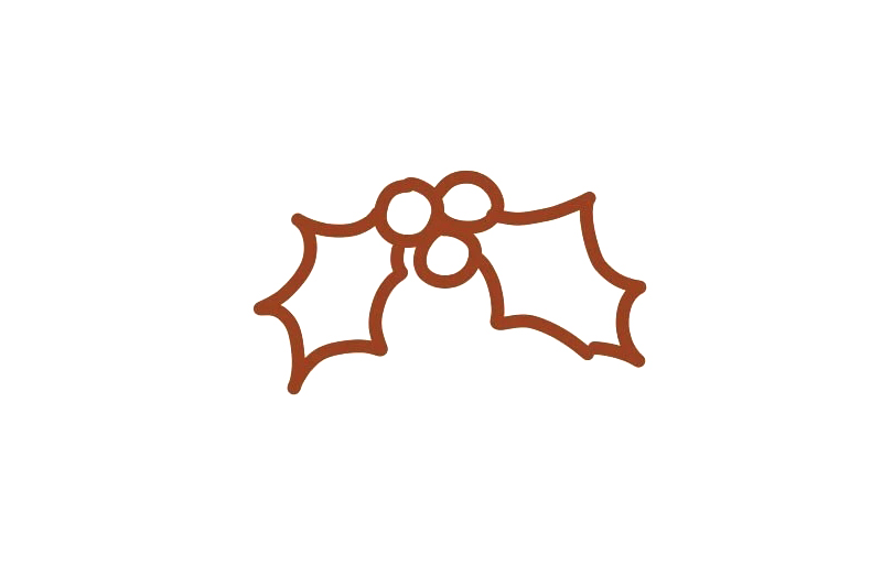 圣诞节装饰冬青怎么画-图2