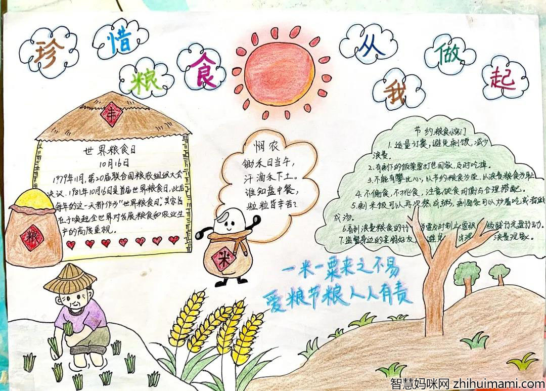 节约粮食从我做起手抄报一等奖-图5