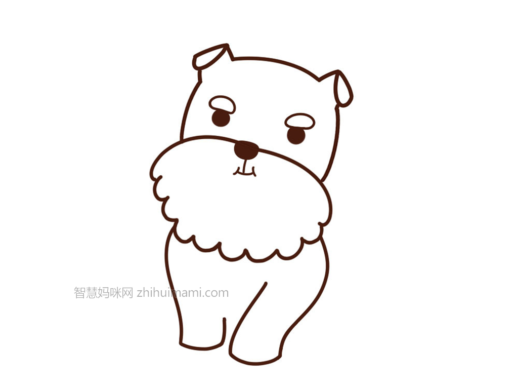 可爱雪纳瑞简笔画画法步骤-图5