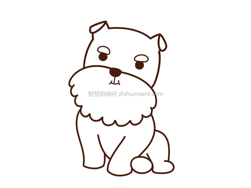 可爱雪纳瑞简笔画画法步骤-图8