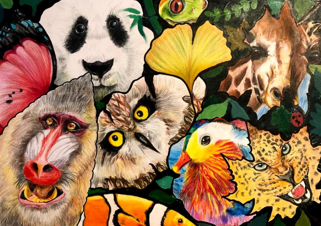 保护生物多样性儿童创意画-图5