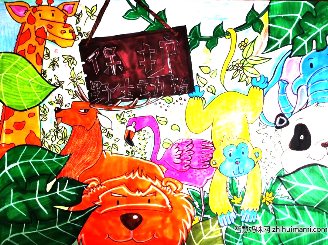 关爱野生动物儿童画漂亮