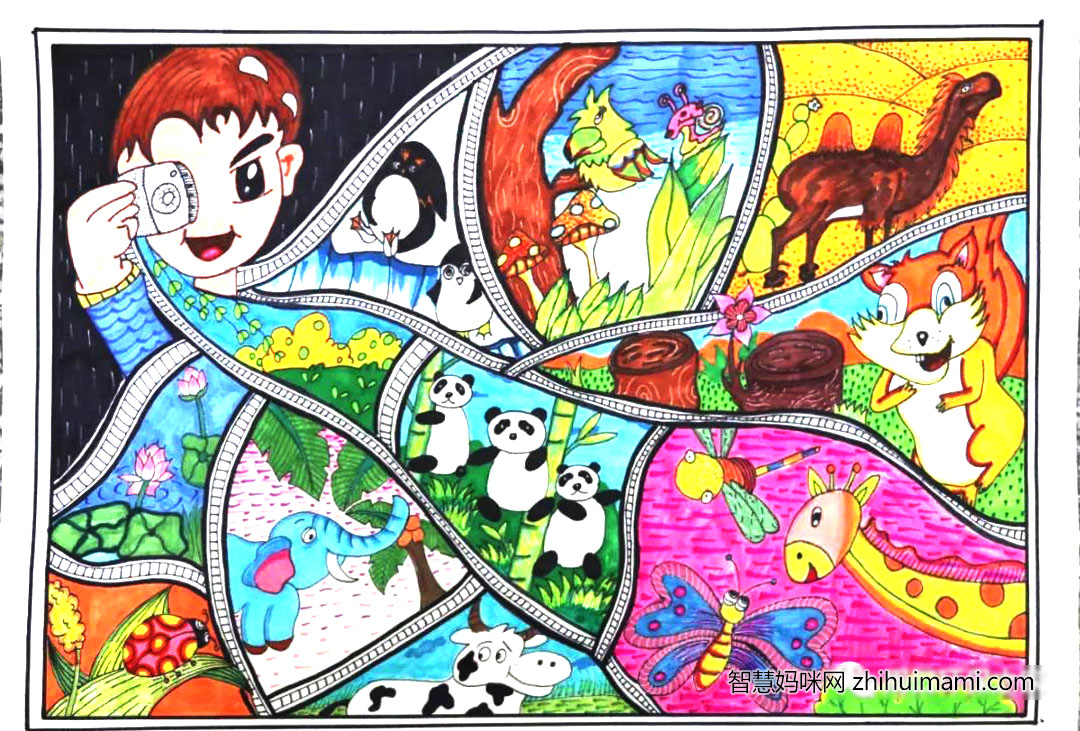 我眼中的生物多样性创意画