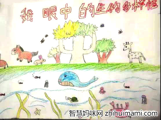 创意画我眼中的生物多样性