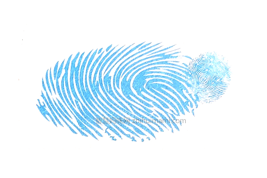 步骤2：用小拇指蘸取颜料，按出鲸鱼的尾部。