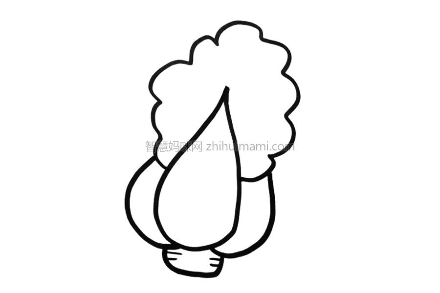 可爱大白菜怎么画-图3