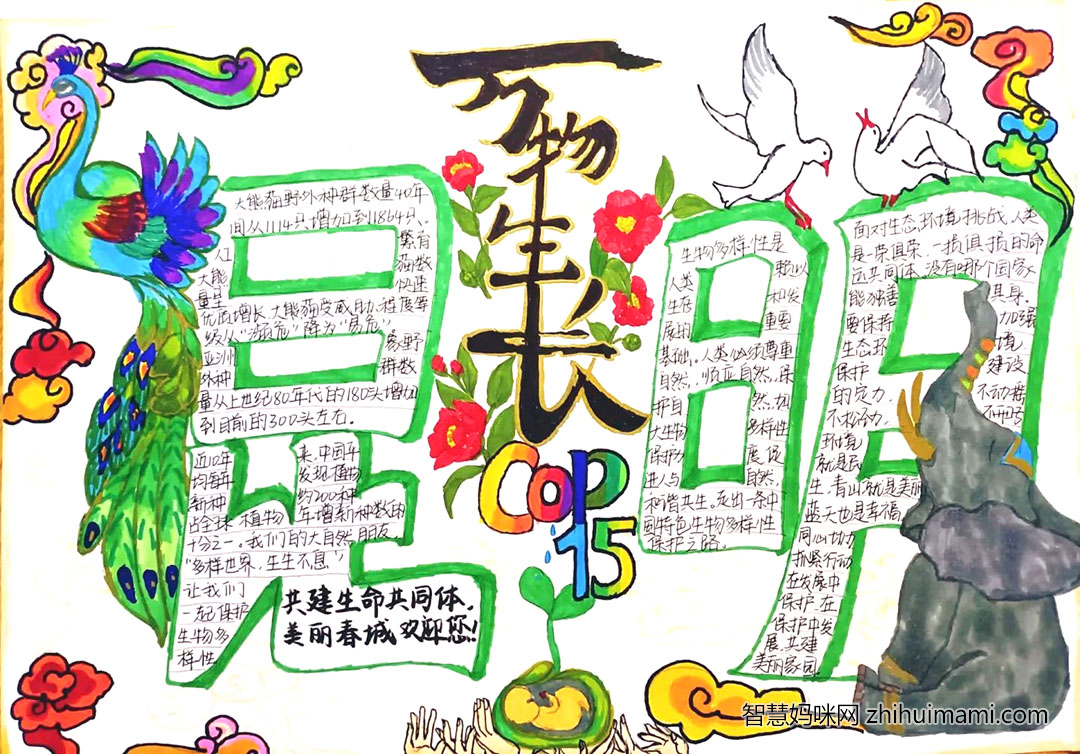 生物多样性保护主题手抄报绘画作品-图2