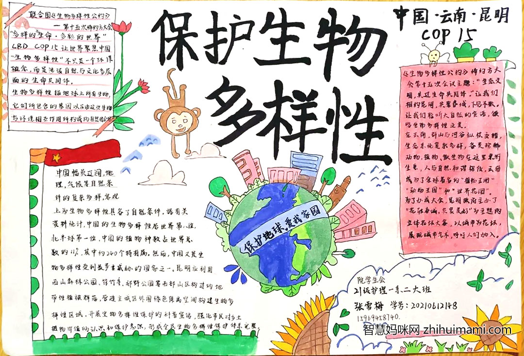 生物多样性保护主题手抄报绘画作品-图7
