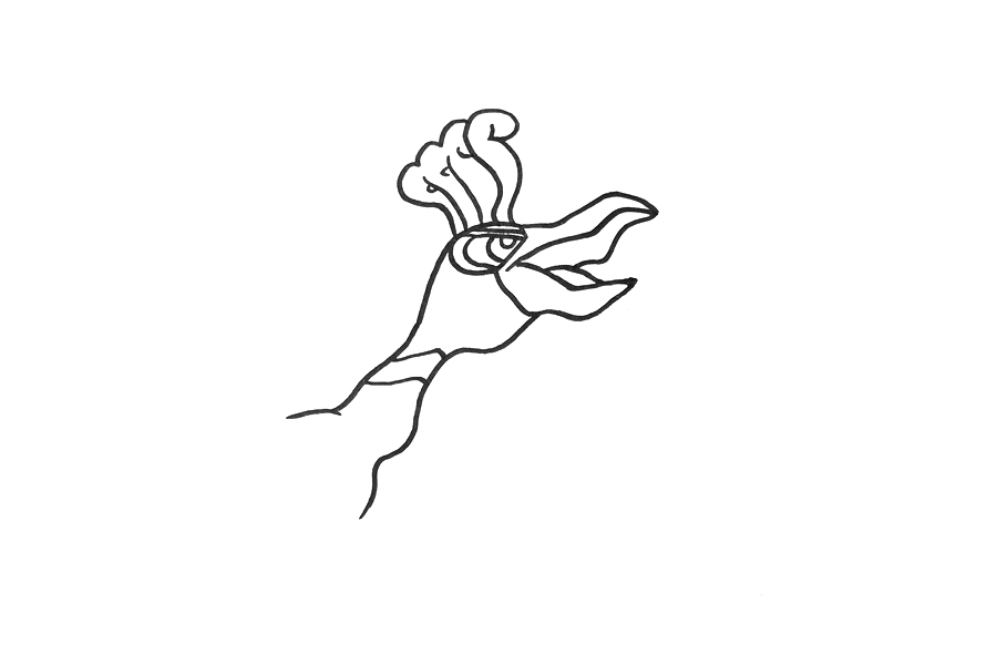 神奇宝贝凤王简笔画-图1