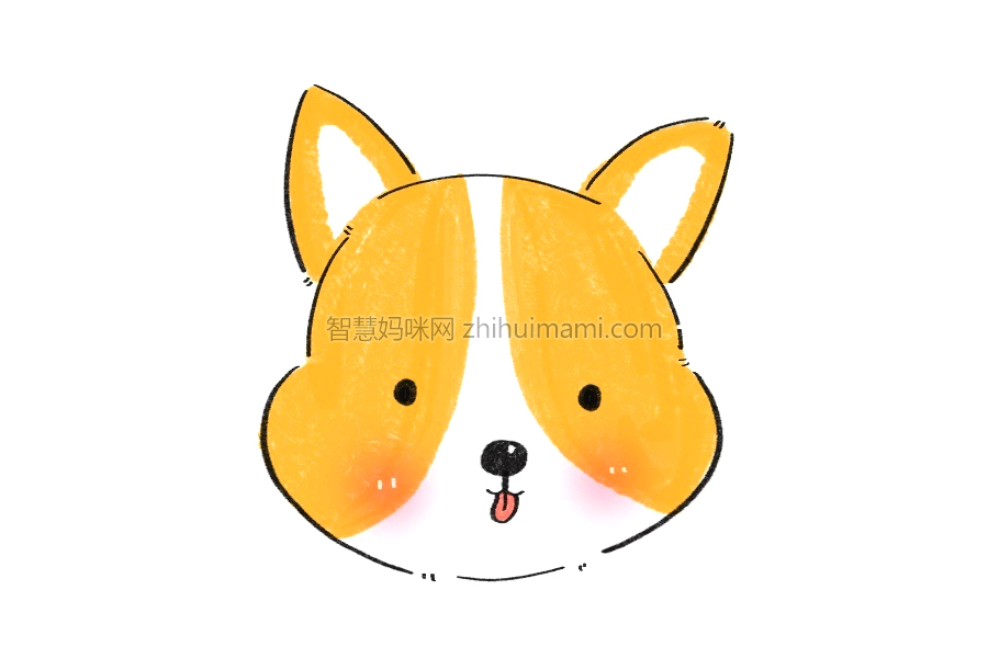 短腿柯基简笔画画法步骤-图5