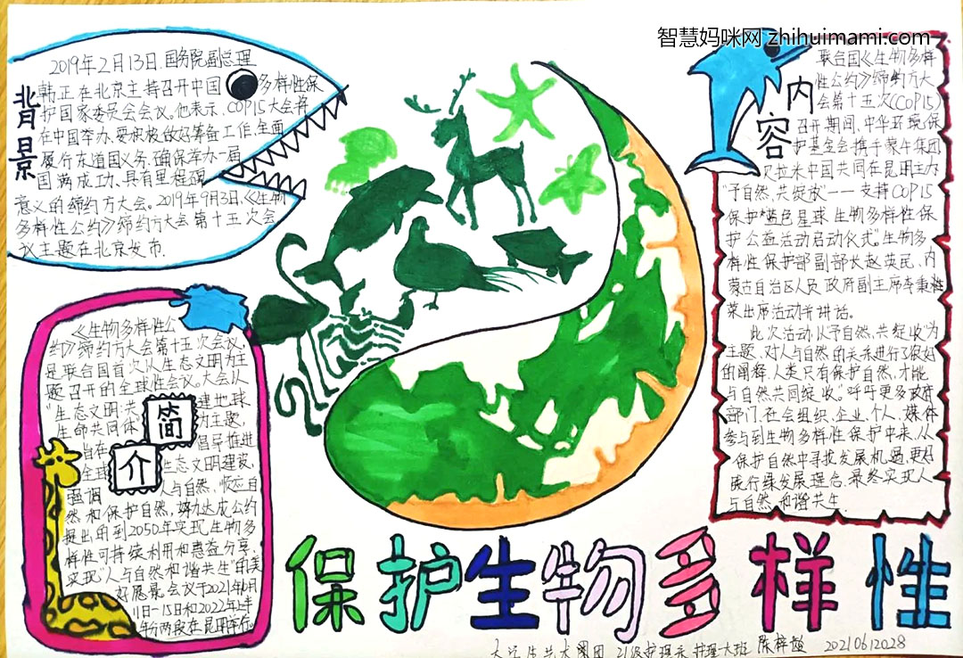 7张漂亮的保护主题手抄报绘画作品-图7