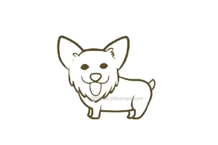 可爱柯基的简单画法步骤-图8