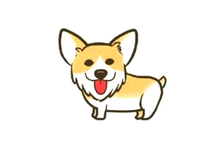 可爱柯基的简单画法步骤