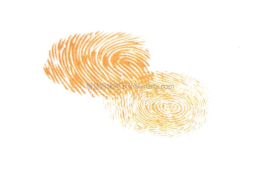 步骤1：伸出食指和中指蘸取颜料，用食指按出浣熊的脑袋，用中指按出浣熊的身子。