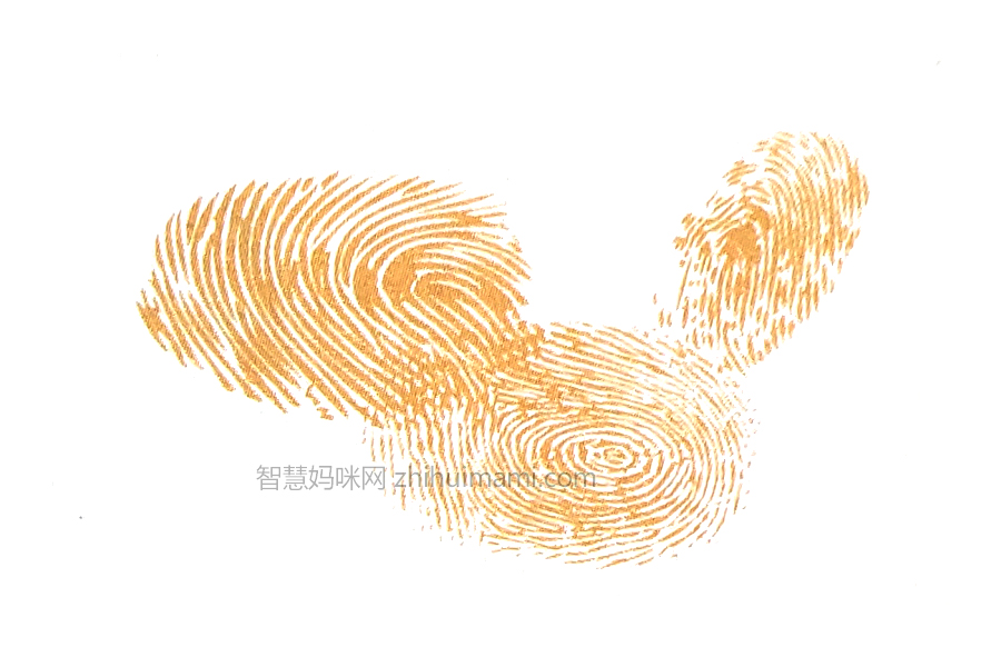 步骤2：擦去食指上的一半颜料，按出浣熊的尾巴。