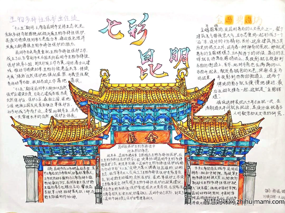 COP·15春城之约主题手抄报-图4