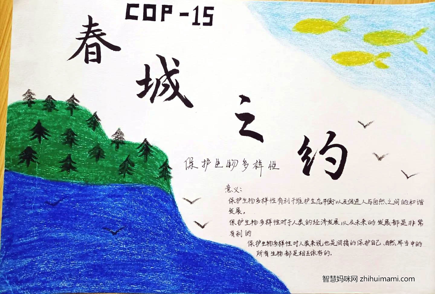 COP·15春城之约主题手抄报-图5